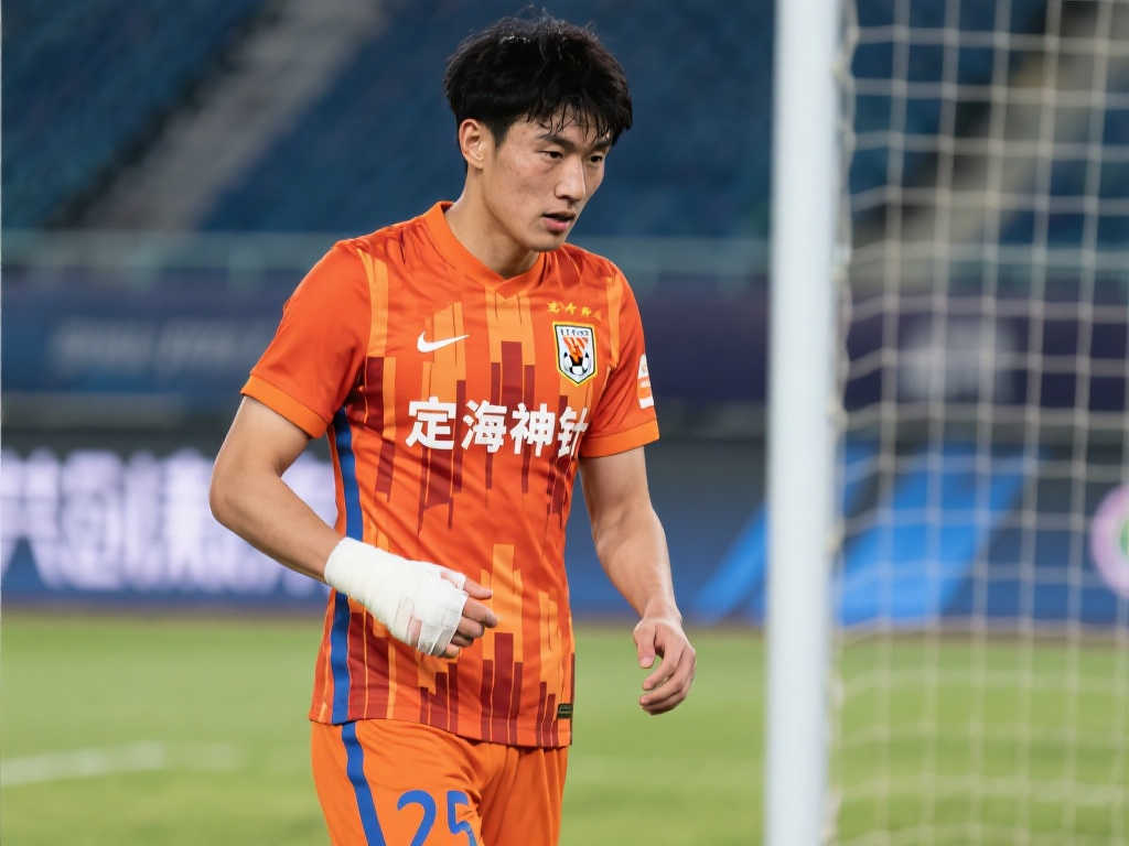 尔蒂克带来 尔蒂克带来